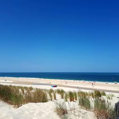 La Du Littoral La Teste-de-Buch